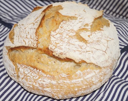 domácí chleba bez hnětení